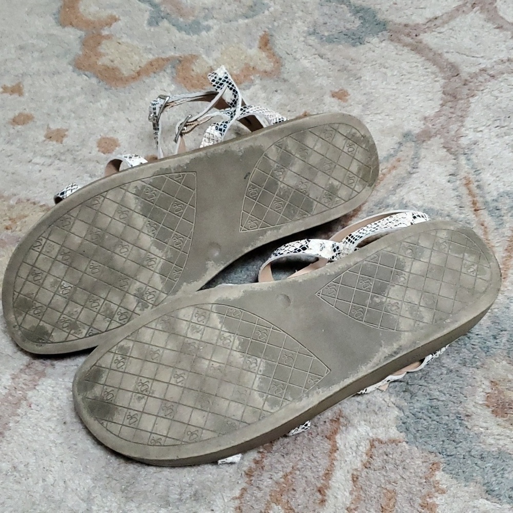 Donald J. Pliner snake Gladiator platform sandals Feliciaus - Picture 7 of 7